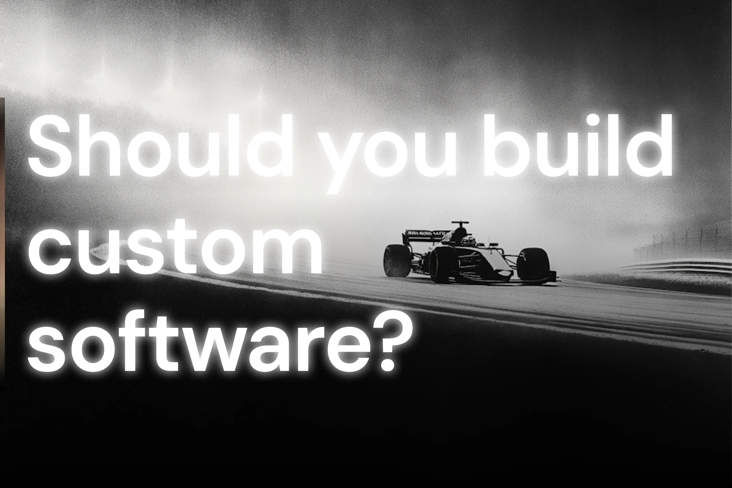 Nightborn: should you buy ready-made software or build custom